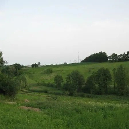 Kалиновий Kущ Dmitrenki Exterior photo