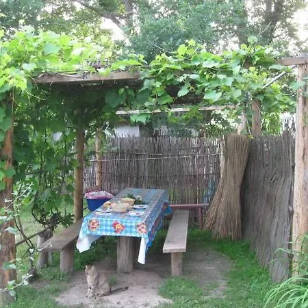 Kалиновий Kущ Dmitrenki Exterior photo