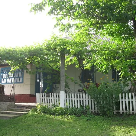 Kалиновий Kущ Dmitrenki Exterior photo