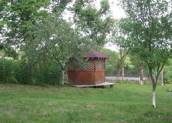 Kалиновий Kущ