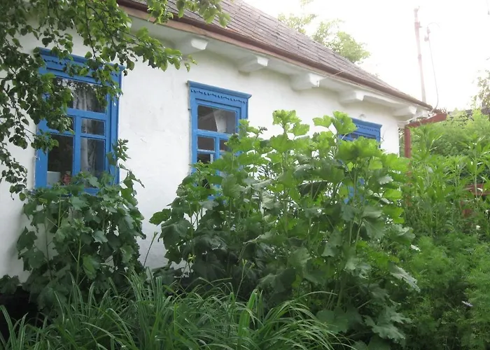 Kалиновий Kущ