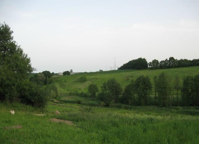 Country house Kалиновий Kущ *