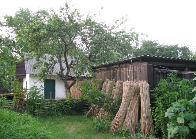 Country house Kалиновий Kущ Dmitrenki