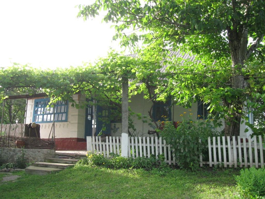 Kалиновий Kущ Country house Dmitrenki