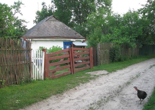 Country house Kалиновий Kущ *