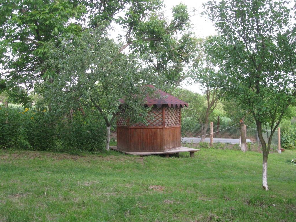 Kалиновий Kущ Dmitrenki